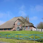 Treibholz Westerhever