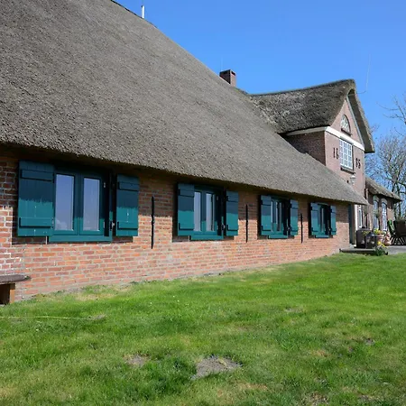 Treibholz * فيستيرهيفير