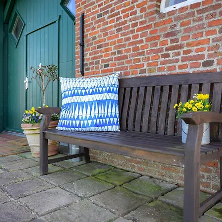 Treibholz فيستيرهيفير