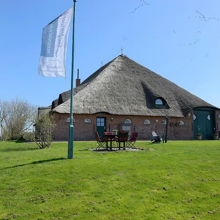 Knutzenswarft - Treibholz * Westerhever