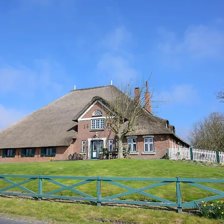 Knutzenswarft - Treibholz Westerhever