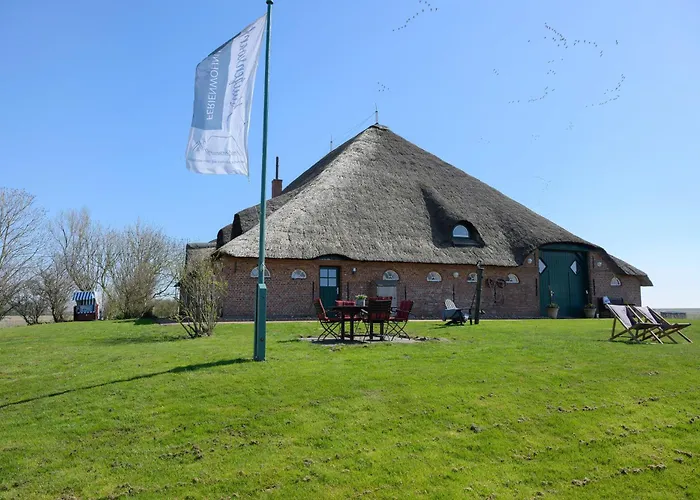 דירה Treibholz *