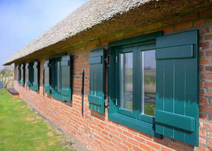 Treibholz דירה *