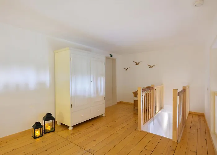 דירה Treibholz *