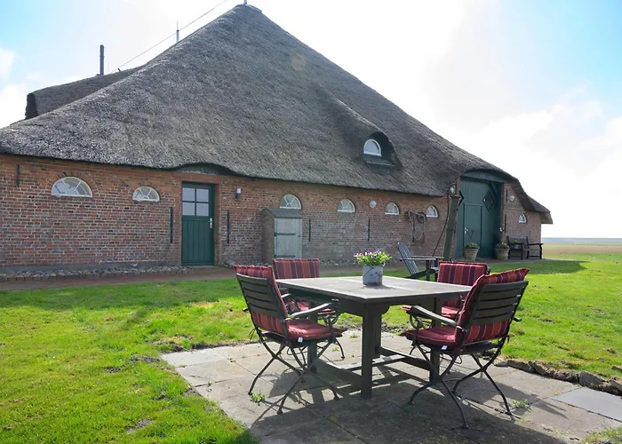 Treibholz ווסטרהבר